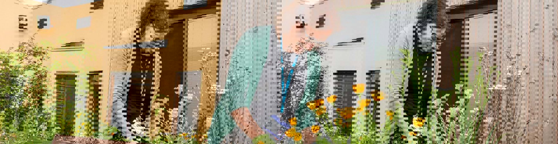 Allied Health Professionals banner