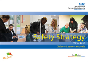 Safety Strategy cover