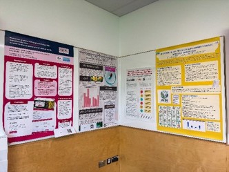 Classroom wall displaying multiple colourful research posters with structured sections containing text, charts and graphs.
